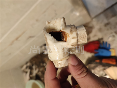梁子湖自来水管道漏水检测