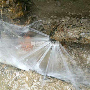 梁子湖消防管道漏水检测